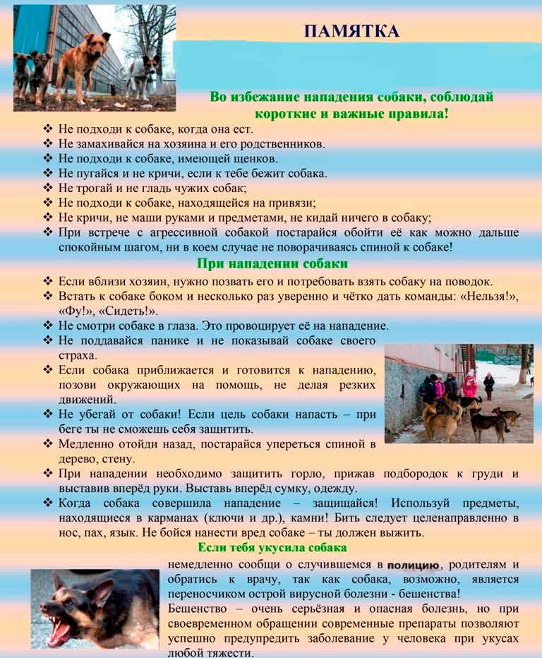 Меры по недопущению покусов (1).png
